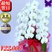 �Ӓ��� ���j�� 3�{���� �J�X�j�� ���N�[�|�����s���� �ړ]�j�� �J�Əj ��� �� �M�t�g �a�����j �A�C�j �ސE �җ� ������ ���� 2