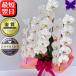 �Ӓ��� ���j�� ������ 5�{���� ���N�[�|�����s���� �J�X�j�� �ړ]�j�� �J�Əj�� �J�@�j�� �A�C�j ���i�j ��� �� �a�����j �ސE �җ� 2