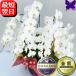 �Ӓ��� ���j�� �� 6�`8�{�d���� �|�C���g10�{ ���N�[�|�����s���� �J�X�j �ړ]�j �J�Əj ��� �� �a�����j �A�C�j �ސE �җ� ������ ����