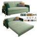  one taste difference .... sofa bed storage attaching 2 seater . sofa couch sofa tip-up type stylish . approximately manner compact folding reclining sofa one person living 
