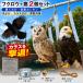 ���悯 ���悯�O�b�Y �J���X�悯 ���悯 �L�悯 �L�悯�V�[�g �Q���΍� ���΍� �h�� �x�����_ ���R �L�悯�΍� ���悯�l�b�g ���悯�e�[�v �Q�P�Z�b�g