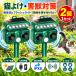 �L�悯 �����g �L�悯�΍� �ŋ� �������ފ� �t���b�V�����C�g 2�Z�b�g 4�̃��[�h �\�[���[�[�d USB�[�d 2WAY ���悯 �Z���T�[���m �������� �Q�b�΍�