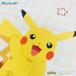 �s�J�`���E �z�c�J�o�[�Q�_�Z�b�g  �V���O���T�C�Y �|�z�c�J�o�[�P��  ���J�o�[�P�� ��������  ����s�� �V���O�������O�T�C�Y  �|�P���� �����V�^ �֘A�摜5