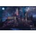  Harry Potter импорт постер 61cm x 91.5cm