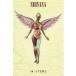 NIRVANA (IN UTERO)niru горелка импорт постер 61cm x 91.5cm