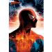  Человек-паук SPIDER MAN MARVEL импорт постер 61cm x 91.5cm
