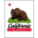 [ Grizzly Bear * bear * bear * California ] postcard 