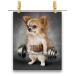  postcard chihuahua dog boxing Champion muscle .toreby Fox Republic