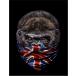 [ Gorilla * бандана * Union Jack ] открытка чёрный фон 