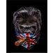 [ Gorilla * бандана * сигареты * Union Jack ] открытка чёрный фон 