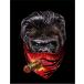 [ Gorilla * бандана * сигареты *sobieto полосный .] открытка чёрный фон 