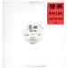[ запись ]RAY LUV - IN THE GAME / DEFINITION OF AH HUSTLE 12" US 1995 год Release 