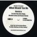 [ запись ]DAMIZZA ft Mariah Carey, Nate Dogg, Shade Sheist - WHAT WOULD YOU DO 12" US 2001 год Release 