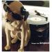 [ запись ]DRAGON ASH - AMPLOUD 12" JAPAN 2000 год Release 