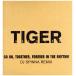 [ запись ]TIGER - GO ON TOGETHER FOREVER IN THE RHYTHM 12" JAPAN 2000 год Release 