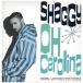 [ запись ]SHAGGY / RAYVON - OH CAROLINA / RIVERS OF BABYLON 12" UK 1993 год Release 
