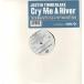 [ запись ]JUSTIN TIMBERLAKE - CRY ME RIVER-THE CLUB MIXES 12" US 2002 год Release 