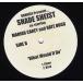 [ запись ]Shade Sheist ft Mariah Carey, Nate Dogg / Knoc-Turn'al - What Would U Do / Makes Me Wanna Fuck You 12" US 2003 год Release 