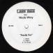 [ запись ]CAM'RON ft Nicole Wray, Kanye West &amp; Syleena Johnson - FAMILY TIES / DOWN &amp; OUT 12" US 2004 год Release 