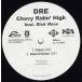 ڥ쥳ɡDRE feat Rick Ross - CHEVY RIDIN' HIGH 12