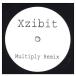 [ запись ]XZIBIT - MULTIPLY (REMIX) (WHITE LABEL) 12" US 2002 год Release 