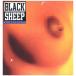 [ запись ]BLACK SHEEP - SIMILAK CHILD / STILL IN THE GHETTO 12" US 1992 год Release 