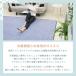 ���O �� �ᔽ�� �Ђ��� �⊴ �ڐG�⊴ 200�~300 �ᔽ�� 20���� �Ɍ� �ӂ��ӂ� �E���^�� �J�[�y�b�g ���O�}�b�g �ėp �Ђ���}�b�g ������� �t���[���[ �֘A�摜4