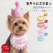 �� �a���� �O�b�Y �n�b�g �X�^�C �N��V�[�g ���� �a�����Z�b�g 3�_�Z�b�g �L���L�� ���p�X�^�C �X�q �o�[�X�f�[ �y�b�g�p �������� ���^�� KM116G