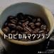 ҡƦ ȥԥޥƥ ѥץ˥塼˥ 