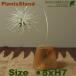 ST Air Plants Stand воздушный растения подставка ( подвешивание украшение )( сад товары )( редкость было использовано )