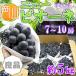  Okayama префектура производство вид нет новый pio-ne7~10. примерно 5kg хорошая вещь * прохладный рейс отправка фрукты .. было использовано 