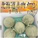  Hokkaido производство красный мясо дыня 4~5 шар полная масса примерно 8kg * прохладный рейс отправка 