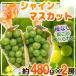  Nagano префектура производство автомобиль in мускат примерно 480g×2.* прохладный рейс отправка 