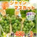  Nagano префектура производство автомобиль in мускат примерно 480g×3.* прохладный рейс отправка 