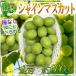  Yamanashi префектура производство автомобиль in мускат 1. примерно 600g * прохладный рейс отправка 