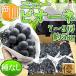  Okayama префектура производство новый pio-ne7~9. super товар примерно 5kg прохладный рейс отправка 