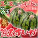  Kumamoto префектура производство Kumamoto ...2 шар 2L-3L итого примерно 14~16kg превосходящий товар 