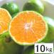  кислота ....~.! самый становится! Ehime префектура производство высшее . сырой есть перевод мандарин 10kg бесплатная доставка 2 комплект . покупка . выгодный 500 иен OFF купон! фрукты фрукты цитрусовые 