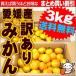 たっぷり3kg!  1kgで393円 3箱購入で国産レモンおまけ 愛媛産訳ありみかん3kg×1箱 送料無料 買えば買うほどお得！30%OFFクーポンとおまけ付♪