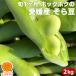  Ehime production broad bean 2kg free shipping Saya attaching broad bean empty legume .... domestic production salt ... legume pota-ju. bite direct delivery from producing area 