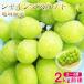  бесплатная доставка предварительный заказ автомобиль in мускат 3~4.2kg передний и задний (до и после) регион тщательно отобранный Okayama Nagano Yamanashi Fukuoka есть перевод . для бытового использования мускат виноград подарок подарок вид нет 