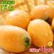 free shipping region carefuly selected loquat biwa..2L size 250g × 4 pack domestic production . home use with translation 