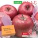  safe our company inspection goods . delivery gift .. for free shipping Aomori prefecture Aomori sun .... apple 6 sphere 1 sphere 270g~310g rom and rear (before and after) apple molasses entering apple domestic production domestic production apple Aomori apple 