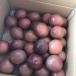  Okinawa prefecture production passionfruit 1kg:8~12 sphere home use 