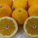  Kawauchi .. есть перевод 5 kilo (+300g гарантия минут итого 5.3kg)ju-si- orange Kumamoto производство . мир Gold мир производства грейпфрут мандарин mi can меласса .80 размер 