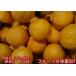  un- . fire with translation box included 10 kilo (9kg+ guarantee minute 500g) deco pon. same goods kind Kumamoto production mandarin orange mi can molasses . deco mandarin orange .. mandarin orange 