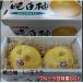 晩白柚　化粧箱　サイズ Ｌ　２玉入り　熊本産