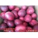  passionfruit high capacity 4kg Kumamoto production Kiyoshi rice field san. passionfruit 80 size 
