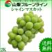  автомобиль in мускат 2kg.. для Yamanashi префектура производство превосходящий полный кубок . осталось жара . видеть Mai . День почитания пожилых людей подарок ...... . соответствует возможно прямая поставка от производителя бесплатная доставка часть регион за исключением 