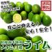 .... не использование ( Mexico производство lime 1kg прохладный рейс ) post harvest пестициды,. коррозия . не использование примерно 8~10 шт синий . рефрижератор 